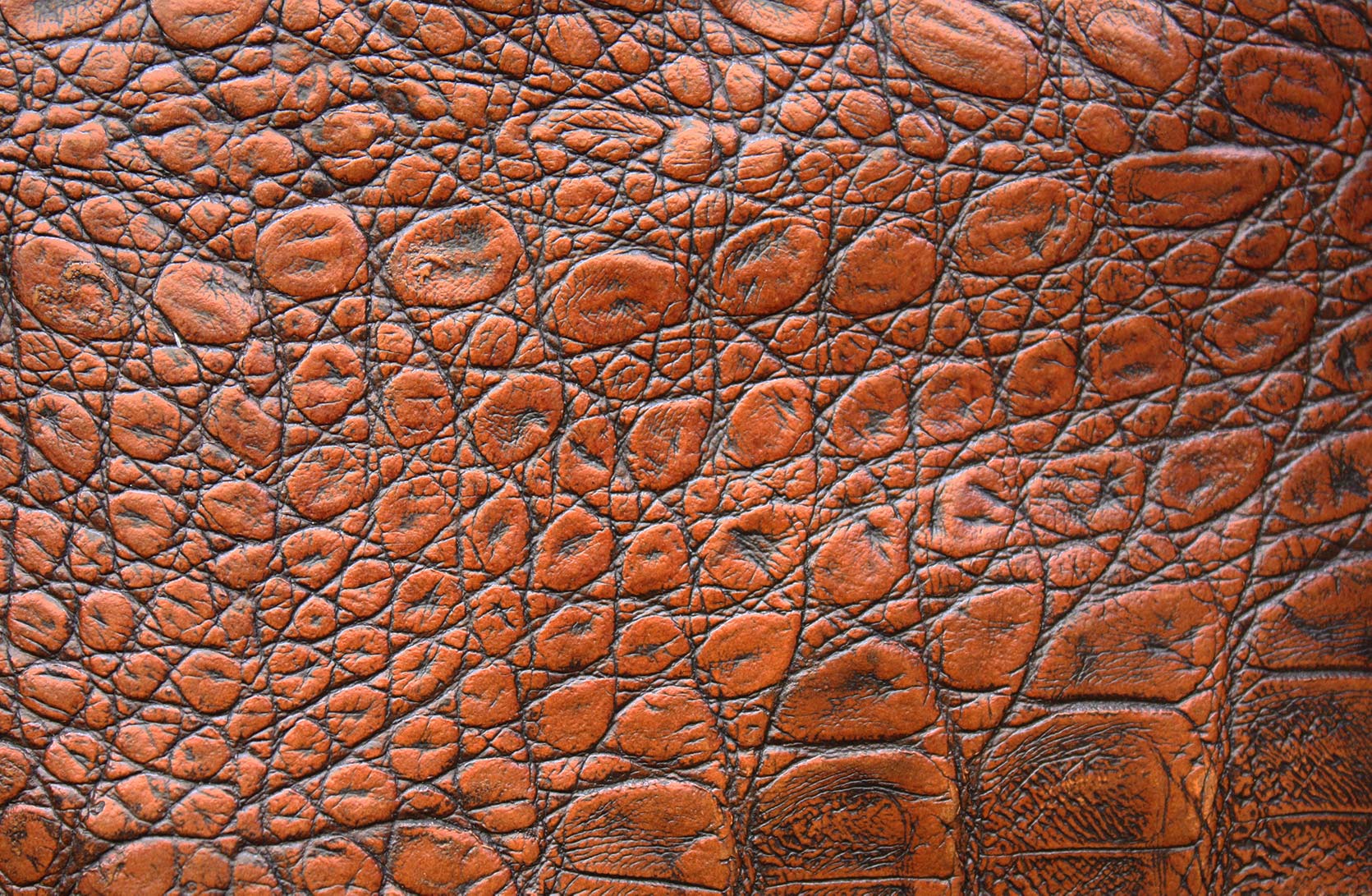 How to Look After Genuine Leather in Furniture